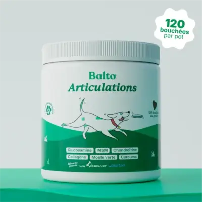 Balto Articulation